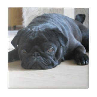 Carreau Personnaliser les accessoires mignons pour chiot C