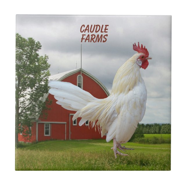 CARREAU PERSONNALISER ROCHER BLANC ROOSTER TILE CÉRAMIQUE (Devant)