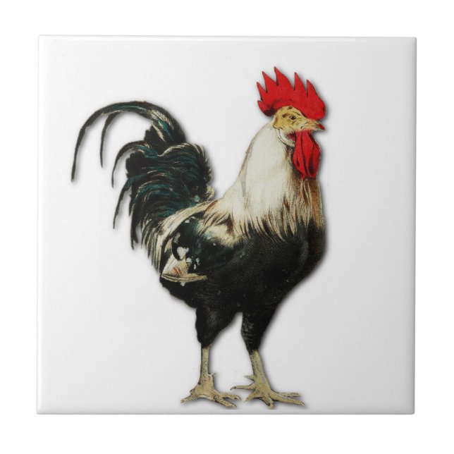 Carreau Personnaliser rouge de poulet de coq (Devant)