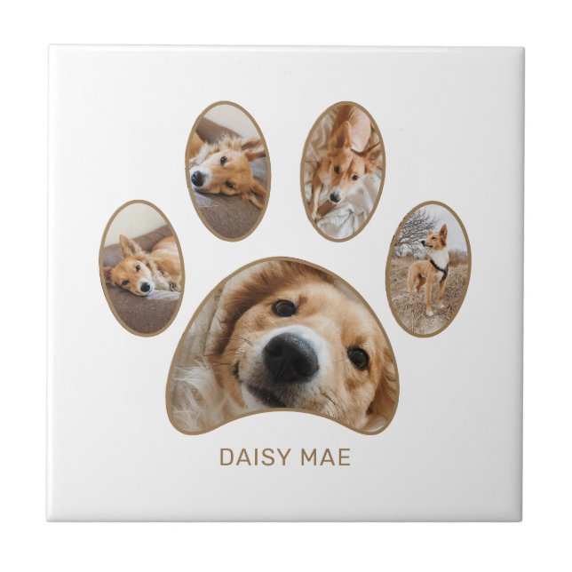 Carreau Pet Lovers Gold Empreinte de patte Nom Photo Colla (Devant)