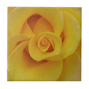 Carreau Pétales de rose jaune romantiques