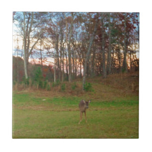 Carreau Petit cerf et coucher de soleil rose