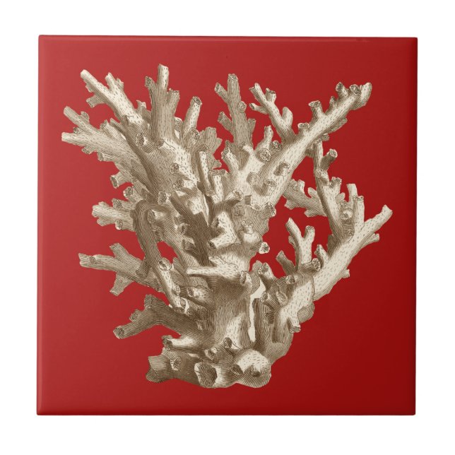 Carreau Petit corail en rouge (Devant)