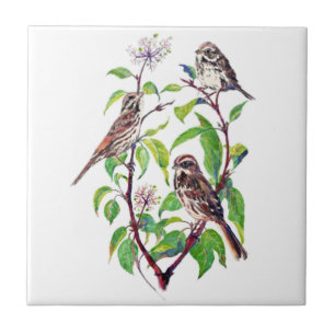 Carreau Petit oiseau d'aquarelle dans l'art d'oiseau