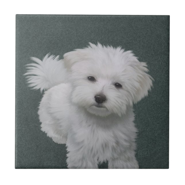 Carreau Petit portrait de chien blanc (Devant)