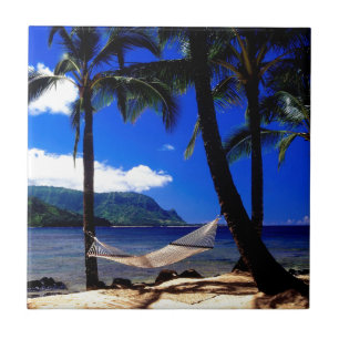 Carreau Petit somme tropical Kauai Hawaï d'après-midi
