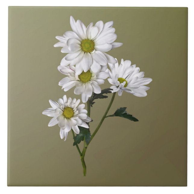 Carreau Petite marguerite levrette (Devant)