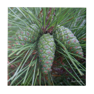 Carreau Petite tuile carrée de Pinecone