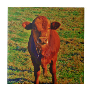 Carreau Petite vache Brown Graine verte brillante