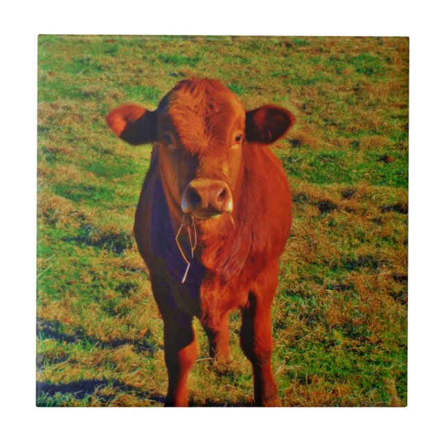 Carreau Petite vache Brown Graine verte brillante (Devant)