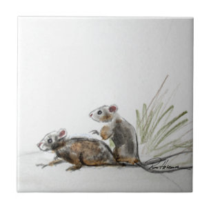 Carreau Petites choses