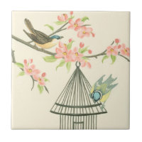 Petits oiseaux perchés sur une branche et sur une 