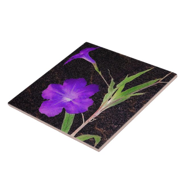 Carreau Petunia violet mexicain (Côté)