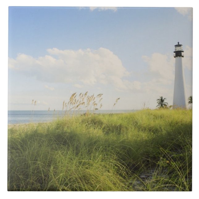 Carreau Phare de Bill Baggs Cape Florida, Bill Baggs (Devant)
