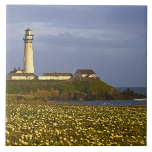 Carreau Phare de Pigeon Point State Beach à San