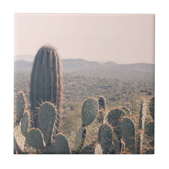 Carreau Photo de Bohème de paysage de désert des cactus | (Devant)