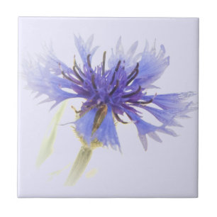 Carreau Photo de Cornflower bleu -