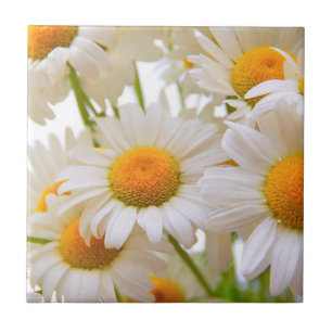 Carreau Photo de marguerites d'été lumineuses