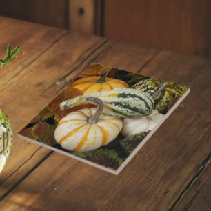 Carreau Photo de nature morte de citrouilles et de courges