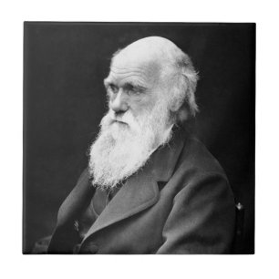 Carreau Photo de portrait de Charles Darwin
