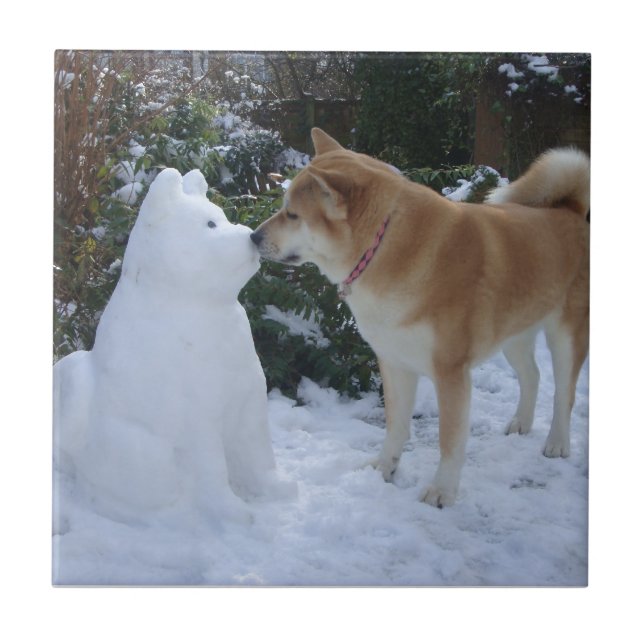 Carreau photo du mignon akita embrassant un bonhomme de ne (Devant)