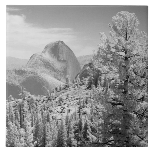 Carreau Photo infrarouge dans la partie est de Yosemite Na (Devant)