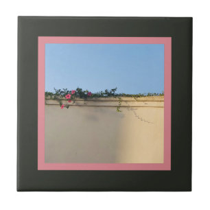 Carreau Photo Moment de calme