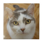 Photo personnalisée