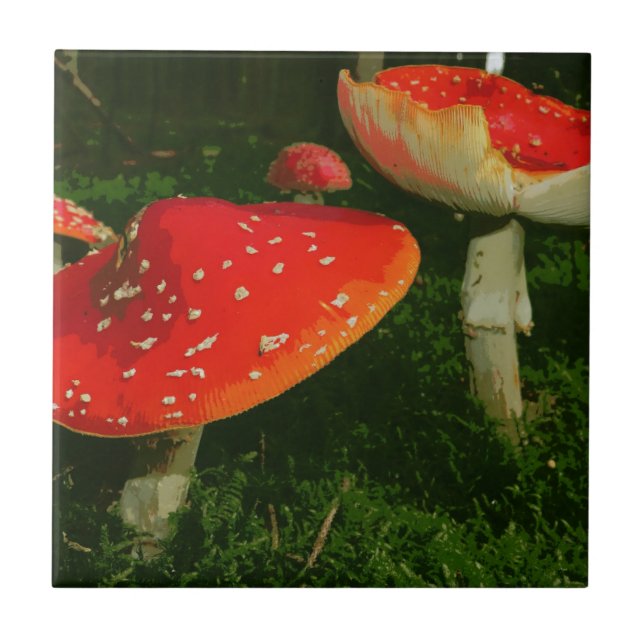 Carreau Photo rouge de champignons de Muscaria d'amanite (Devant)