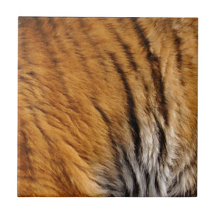 Carreau Photo Tiger Stripes Big Cat Wildlife