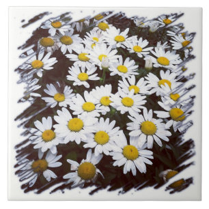 Carreau Photographie de marguerites de Shasta