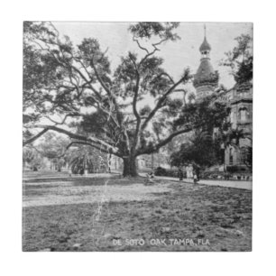 Carreau Photos vintages de Tampa Floride