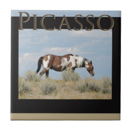 Carreau Picasso, étalon de lavabo de sable, le Colorado