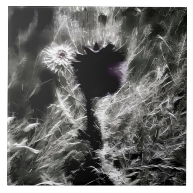 Carreau Pick (Devant)