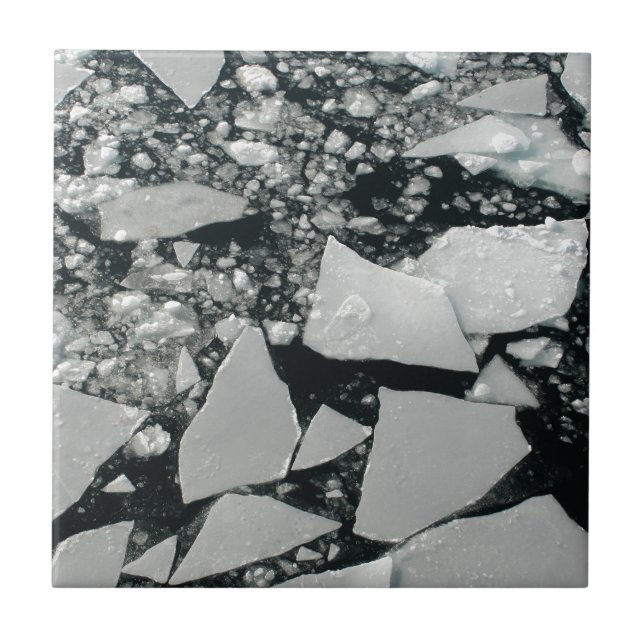 Carreau Pièces flottantes de glace arctique brisée (Devant)