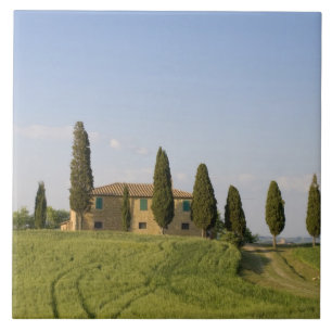 Carreau Pienza, Val d'Orcia, province de Sienne, Toscane,