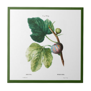 CARREAU PIERRE-JOSEPH REDOUTÉ "FIGUES" TILE CÉRAMIQUE
