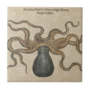 Carreau Pieuvre Kraken Antique Faune Marine Côtière