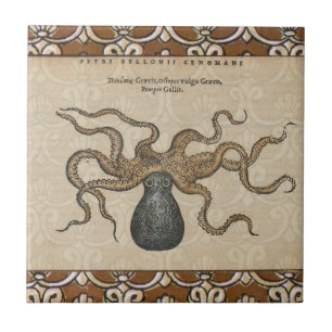 Carreau Pieuvre Kraken Antique Faune Marine Côtière