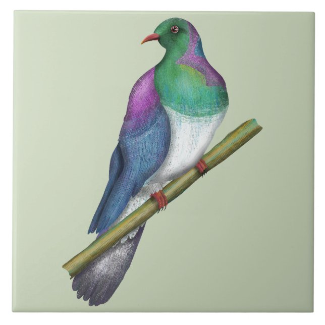 Carreau Pigeon de Kereru Wood (Devant)