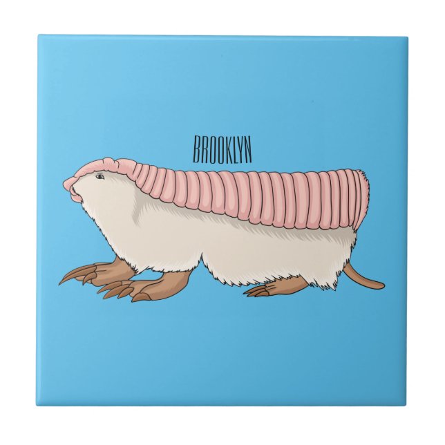 Carreau Pink fairy armadillo (Devant)