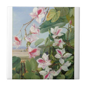 Carreau Pink Floral Spring Party Douche Paix Amour Destiny