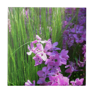 Carreau Pink Phlox et Grass été Floral