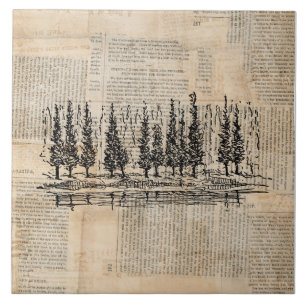 Carreau Pins vintages paysage nature Newsprint Art