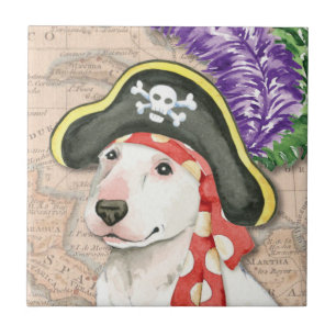 Carreau Pirate de bull-terrier
