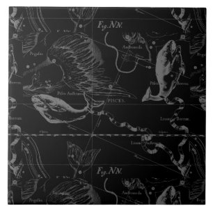 Carreau Pisces Constellation Hevelius 1690 on Black