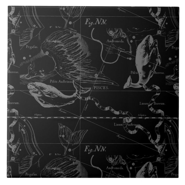 Carreau Pisces Constellation Hevelius 1690 on Black (Devant)