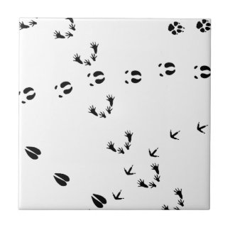 Carreau piste animal lynch