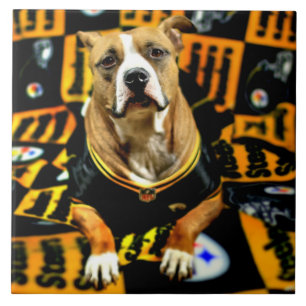 Carreau Pitbull Secourt Dog Football Fanatic