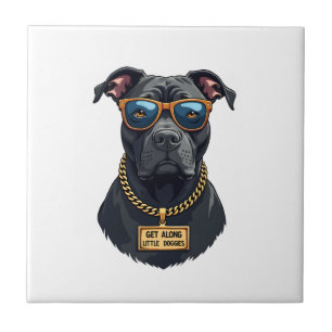 Carreau Pitbull Vintage Cool en Lunettes de Soleil avec Ch
